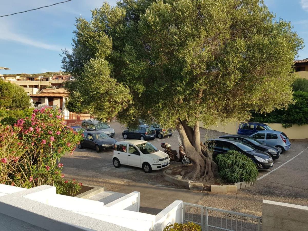 B&B Unique Art Santa Teresa Gallura Buitenkant foto